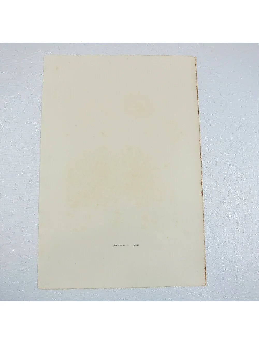 Antique 1892 Print 